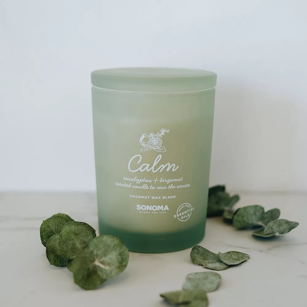 Sonoma Goods For Life® Spa Calm Candle Jar Sonoma Goods For Life® Spa Calm Candle Jar -Sonoma Goods For Life Shop 4618312 ALT