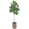 Sonoma Goods For Life® Artificial Fiddle Leaf Fig Floor Decor 2 Sonoma Goods For Life® Artificial Fiddle Leaf Fig Floor Decor -Sonoma Goods For Life Shop 4836187