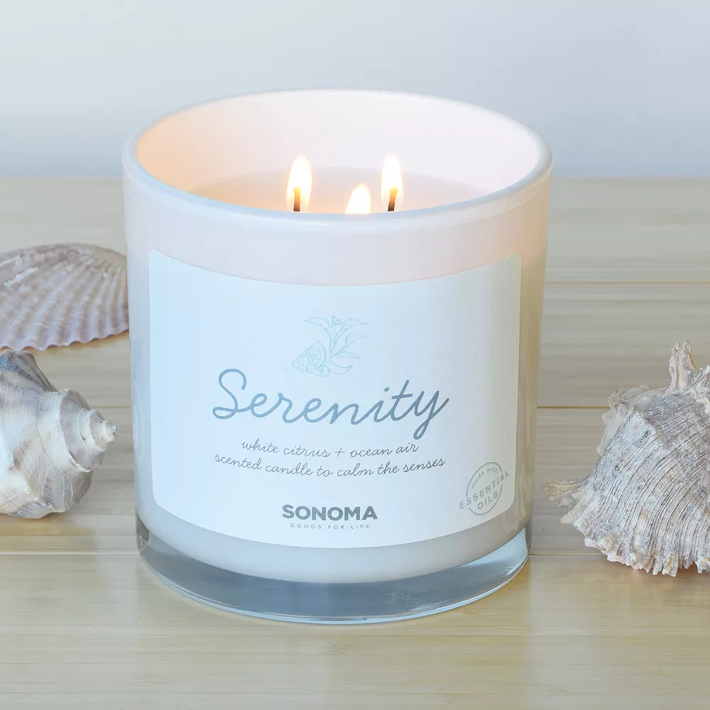 Sonoma Goods For Life® 13-oz. Serenity White Citrus & Ocean Air 3-Wick Jar Candle Sonoma Goods For Life® 13-oz. Serenity White Citrus & Ocean Air 3-Wick Jar Candle -Sonoma Goods For Life Shop 4845464 ALT