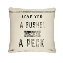 Sonoma Goods For Life® Feather Fill Love You Farmhouse Throw Pillow