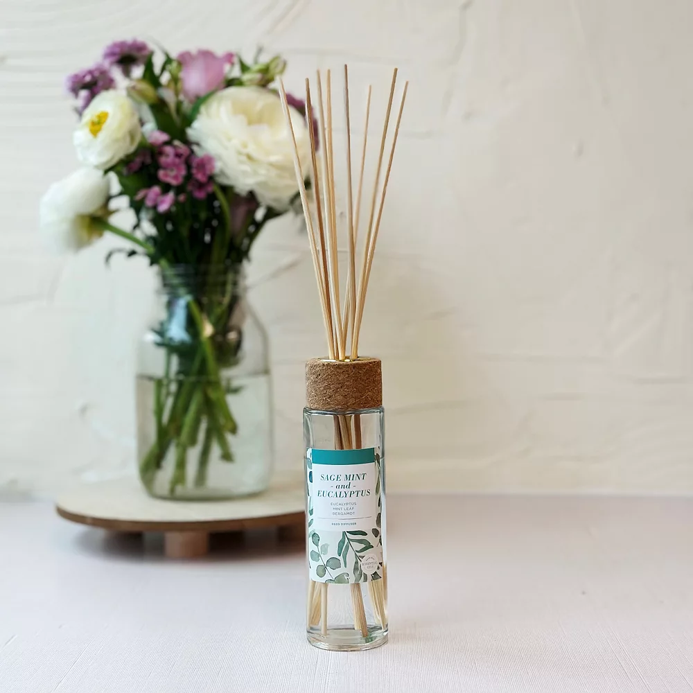 Sonoma Goods For Life® Eucalyptus & Mint Leaf Reed Diffuser 11-piece Set Sonoma Goods For Life® Eucalyptus & Mint Leaf Reed Diffuser 11-piece Set -Sonoma Goods For Life Shop 5529587 ALT