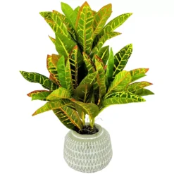 Sonoma Goods For LifeĀ® Artificial Potted Greenery Floor Decor