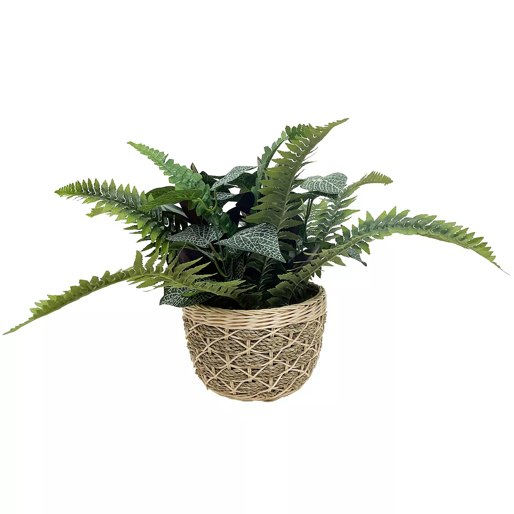 Sonoma Goods For Life® Artificial Mixed Greenery Plant Table Decor Sonoma Goods For Life® Artificial Mixed Greenery Plant Table Decor -Sonoma Goods For Life Shop 5635803