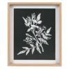 Sonoma Goods For Life® Printed Wood Frame Reverse Botanical Wall Decor -Sonoma Goods For Life Shop 5636624