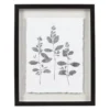 Sonoma Goods For Life® Botanical Shadowbox Framed Wall Art -Sonoma Goods For Life Shop 5636632
