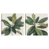 Sonoma Goods For Life® Magnolia Leaves I & II Canvas Wall Art 2-piece Set -Sonoma Goods For Life Shop 5661545