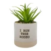 Sonoma Goods For Life® I Run This Rodeo Artificial Potted Plant Table Decor 2 Sonoma Goods For Life® I Run This Rodeo Artificial Potted Plant Table Decor -Sonoma Goods For Life Shop 5896121