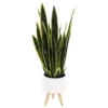 Sonoma Goods For Life® Faux Snake Plant In Midcentry Modern Pot -Sonoma Goods For Life Shop 5897091