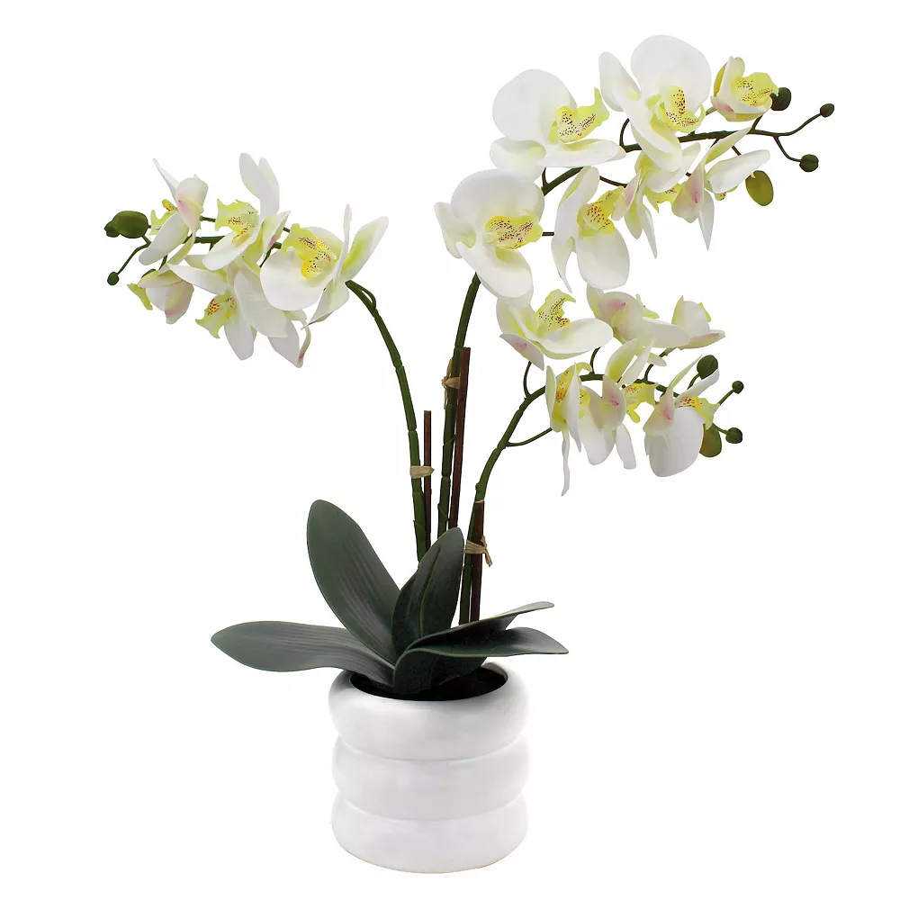 Sonoma Goods For Life® Faux Orchid In Ceramic Pot Floor Decor Sonoma Goods For Life® Faux Orchid In Ceramic Pot Floor Decor -Sonoma Goods For Life Shop 5902386