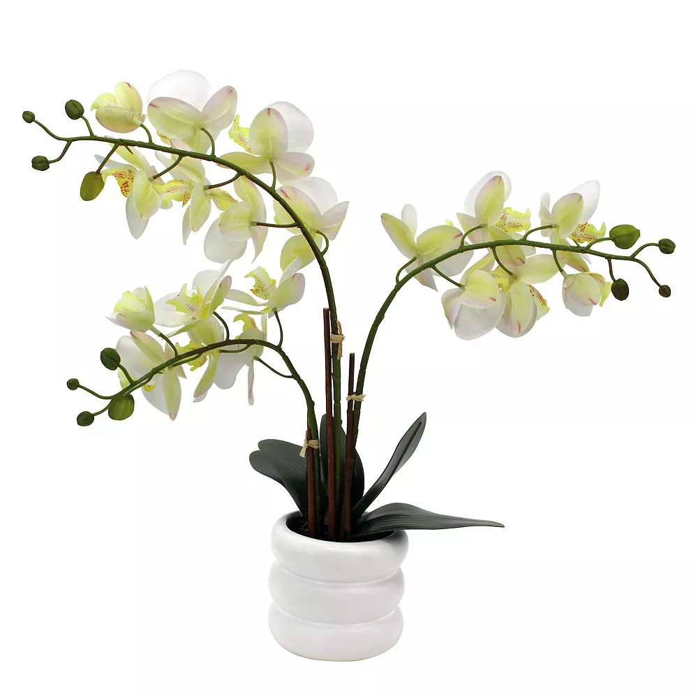 Sonoma Goods For Life® Faux Orchid In Ceramic Pot Floor Decor Sonoma Goods For Life® Faux Orchid In Ceramic Pot Floor Decor -Sonoma Goods For Life Shop 5902386 ALT