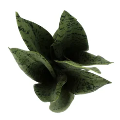 Sonoma Goods For Life® Faux Snake Plant In Ceramic Vessel -Sonoma Goods For Life Shop 5902774 ALT2
