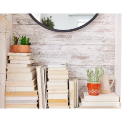 Sonoma Goods For Life® Cactus Table Decor -Sonoma Goods For Life Shop 5902784 ALT5