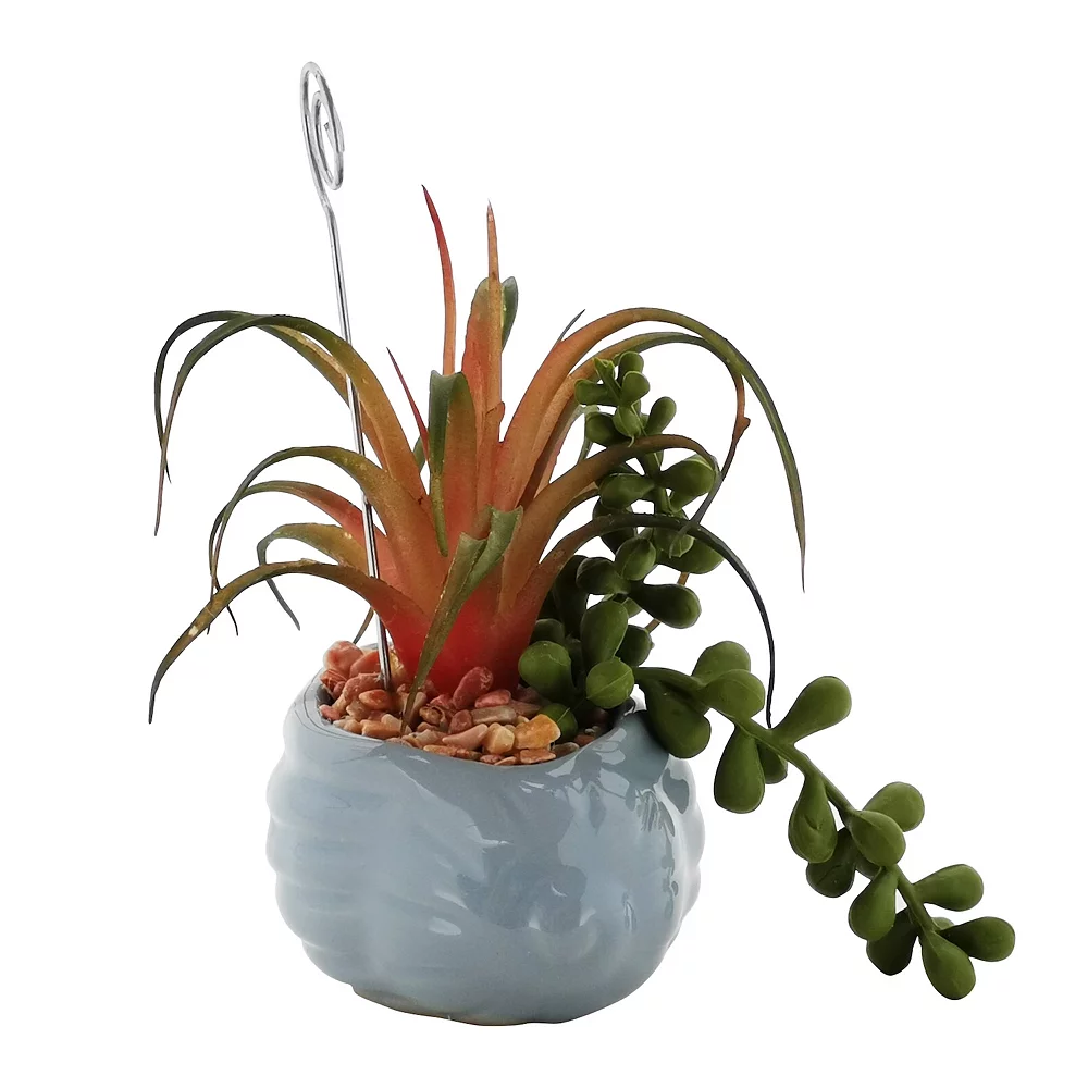 Sonoma Goods For Life® Succulent Artificial Greenery Photo Clip Sonoma Goods For Life® Succulent Artificial Greenery Photo Clip -Sonoma Goods For Life Shop 5903701