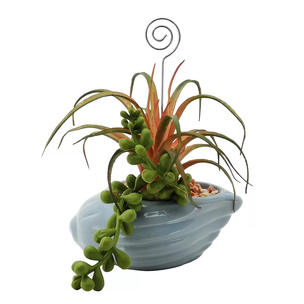 Sonoma Goods For Life® Succulent Artificial Greenery Photo Clip Sonoma Goods For Life® Succulent Artificial Greenery Photo Clip -Sonoma Goods For Life Shop 5903701 ALT