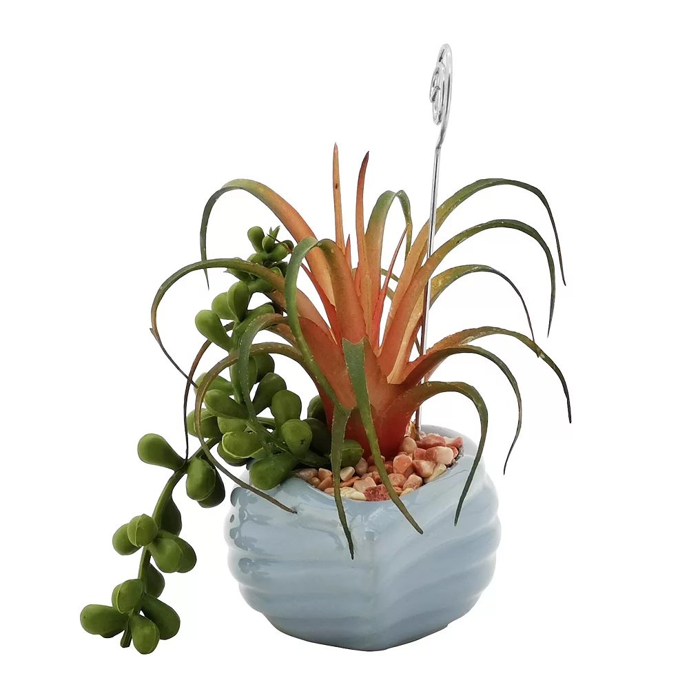 Sonoma Goods For Life® Succulent Artificial Greenery Photo Clip Sonoma Goods For Life® Succulent Artificial Greenery Photo Clip -Sonoma Goods For Life Shop 5903701 ALT3