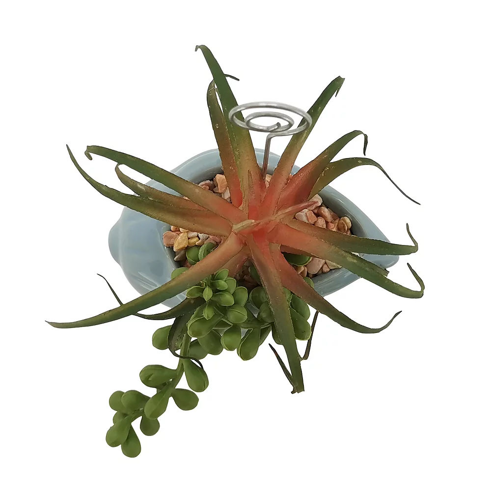 Sonoma Goods For Life® Succulent Artificial Greenery Photo Clip Sonoma Goods For Life® Succulent Artificial Greenery Photo Clip -Sonoma Goods For Life Shop 5903701 ALT4