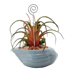 Sonoma Goods For Life® Succulent Artificial Greenery Photo Clip 7 Sonoma Goods For Life® Succulent Artificial Greenery Photo Clip -Sonoma Goods For Life Shop 5903701 ALT5