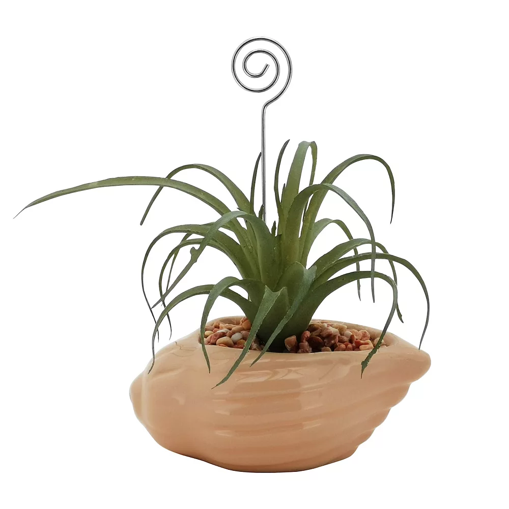 Sonoma Goods For Life® Air Plant Artificial Greenery Photo Clip Sonoma Goods For Life® Air Plant Artificial Greenery Photo Clip -Sonoma Goods For Life Shop 5903702