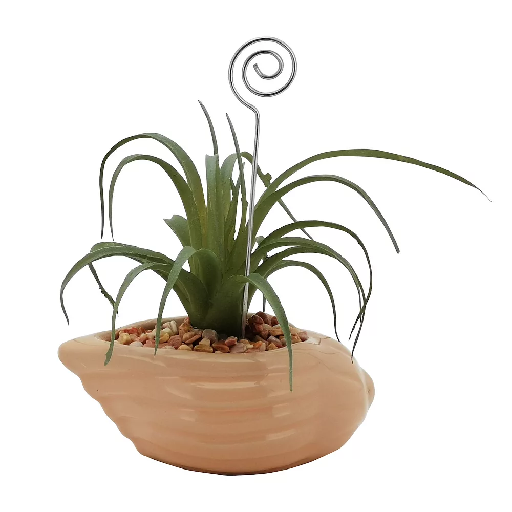 Sonoma Goods For Life® Air Plant Artificial Greenery Photo Clip Sonoma Goods For Life® Air Plant Artificial Greenery Photo Clip -Sonoma Goods For Life Shop 5903702 ALT3