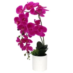 Sonoma Goods For LifeĀ® Artificial Fuschia Orchid Plant Table Decor
