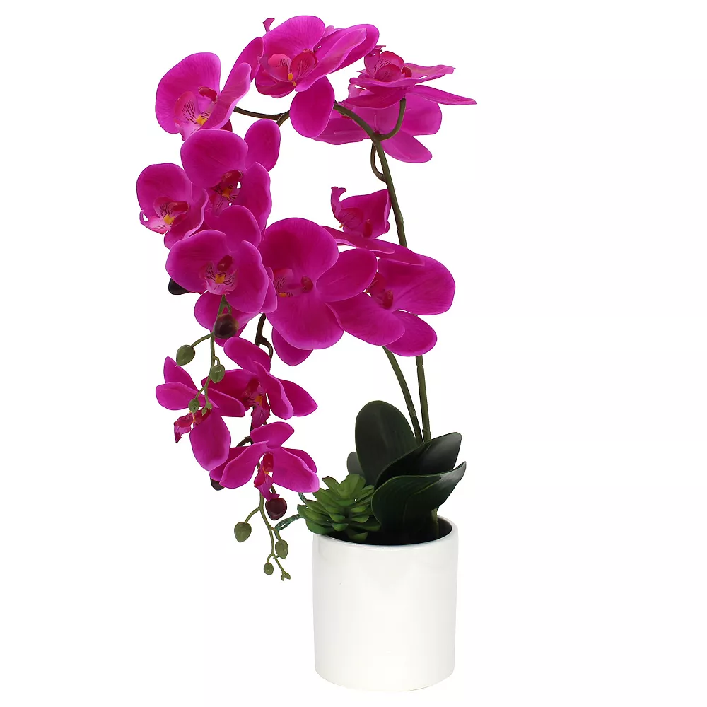 Sonoma Goods For Life® Artificial Fuschia Orchid Plant Table Decor Sonoma Goods For Life® Artificial Fuschia Orchid Plant Table Decor -Sonoma Goods For Life Shop 5904653