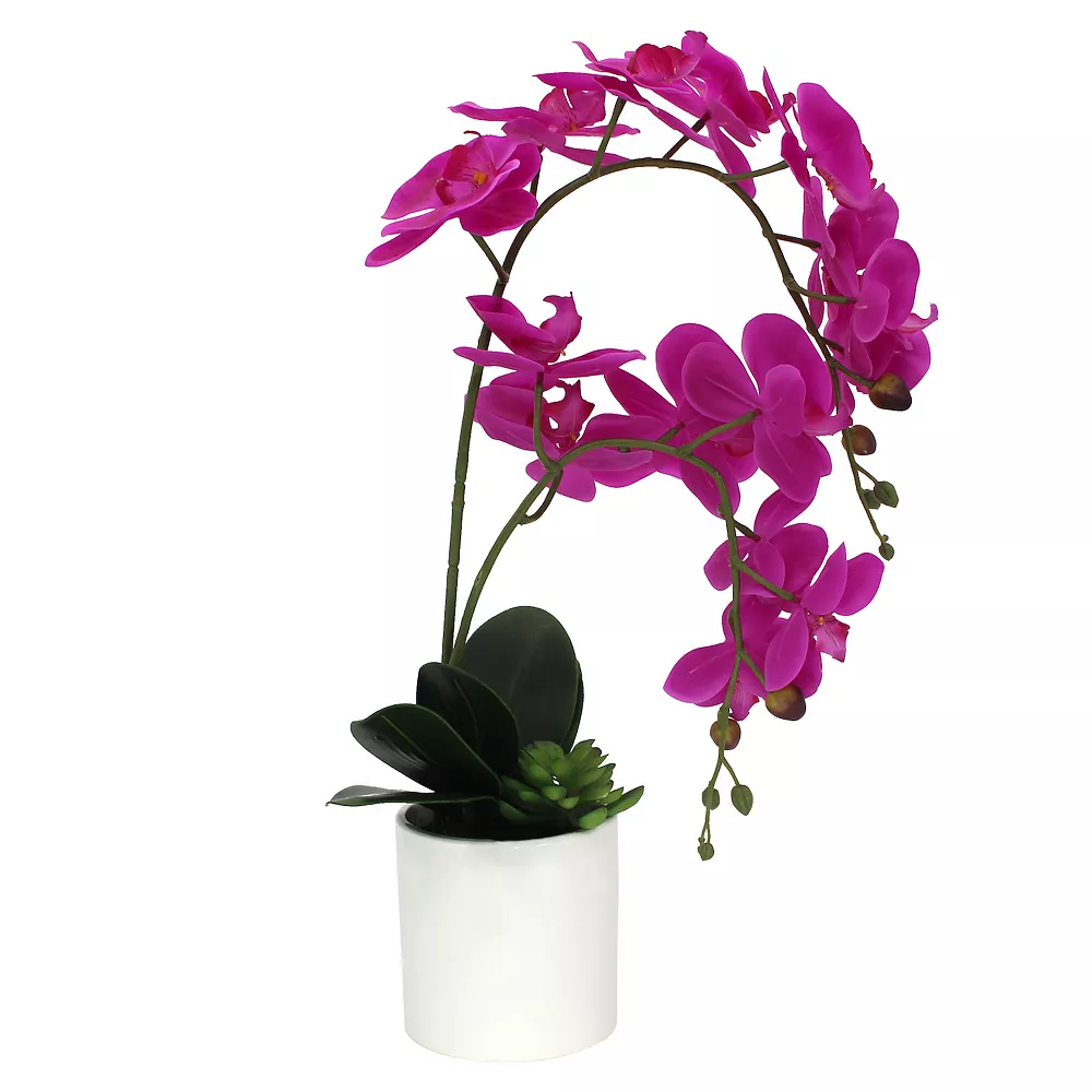 Sonoma Goods For Life® Artificial Fuschia Orchid Plant Table Decor Sonoma Goods For Life® Artificial Fuschia Orchid Plant Table Decor -Sonoma Goods For Life Shop 5904653 ALT
