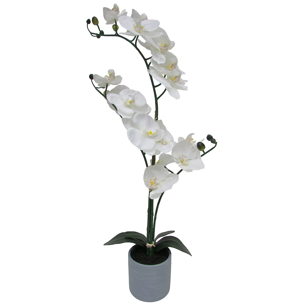 Sonoma Goods For Life® Orchid Artificial Plant Floor Decor Sonoma Goods For Life® Orchid Artificial Plant Floor Decor -Sonoma Goods For Life Shop 5904703
