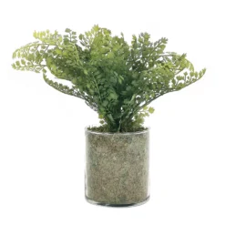 Sonoma Goods For Life® Artificial Fern In Glass Pot