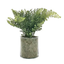 Sonoma Goods For Life® Artificial Fern In Glass Pot -Sonoma Goods For Life Shop 5904746 ALT3