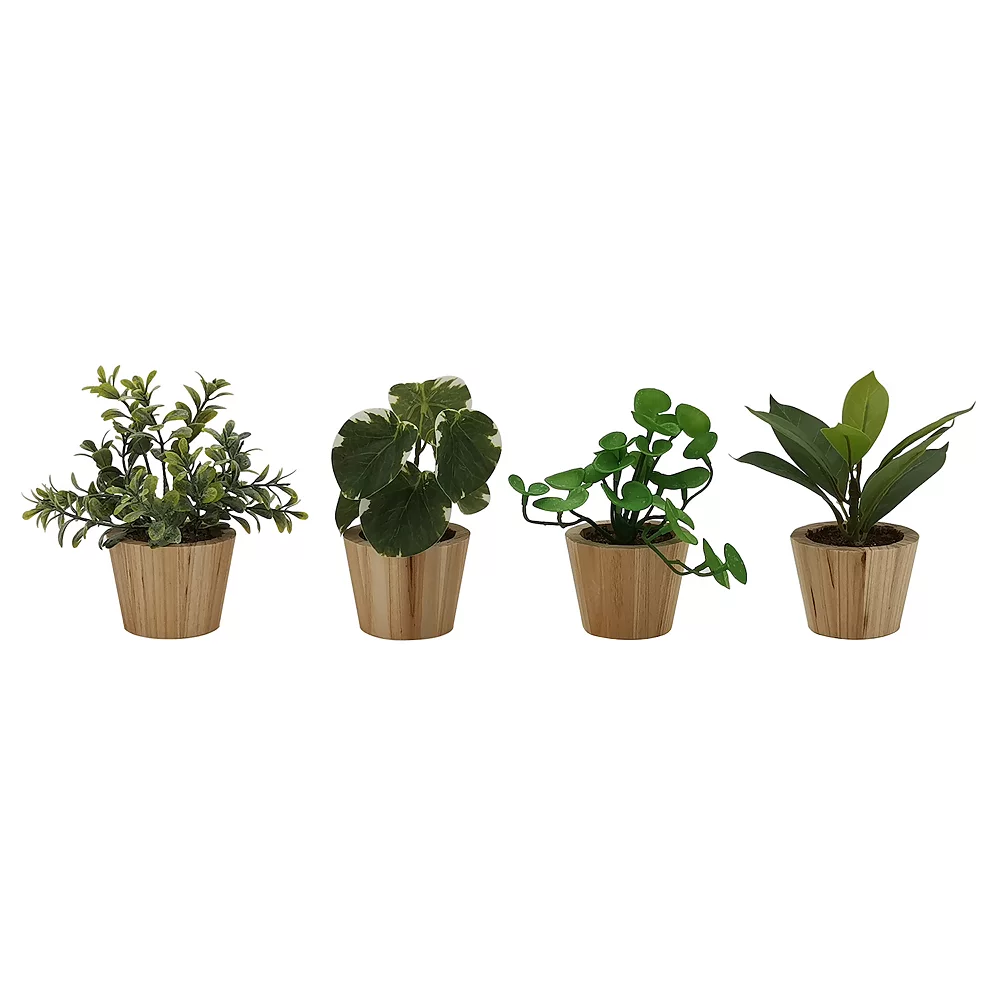 Sonoma Goods For Life® 4-Pack Mini Greenery Sonoma Goods For Life® 4-Pack Mini Greenery -Sonoma Goods For Life Shop 5904749
