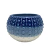 Sonoma Goods For Life® Outdoor Sea Urchin Ombre Stoneware Planter Garden Decor