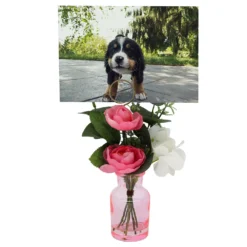 Sonoma Goods For Life® Artificial Floral 1-Photo Clip Table Decor 4 Sonoma Goods For Life® Artificial Floral 1-Photo Clip Table Decor -Sonoma Goods For Life Shop 5997154 ALT2